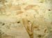 OSB_Platte_frontal_1